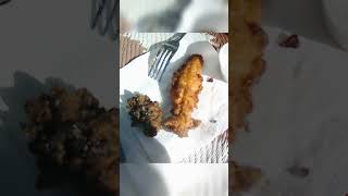 Whitefish and Onion rings fish fishing fishrecipe fishinglife food friedfish fishingvideo [upl. by Marleah]