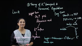 Mechanism of Stomatal Movement I Christine Sara Abraham I Department of Botany [upl. by Naejeillib]