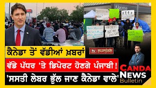 Canada Punjabi News Bulletin  November 15 2024  TV Punjab [upl. by Peper275]