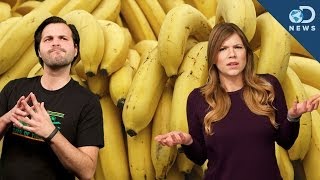 Why Are Bananas Going Extinct [upl. by Rafat746]