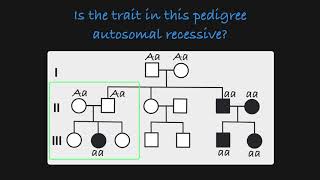 Autosomal Recessive Traits in a Pedigree [upl. by Sitelc595]