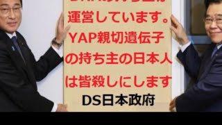 あなたは？何処の政党推し？ 減税所得倍増、移民反対、夫婦別姓反対〜の政党🌸🇯🇵参政党しか勝たんね〰🌸🇯🇵 令和６年１１月２３日 日曜日 日曜討論‼️ [upl. by Okorih]