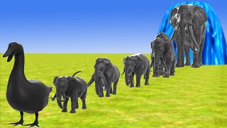 Paint Animals Elephants and Mammoths Size Comparison Fountain Crossing Animal Transformation Cartoon [upl. by Regina]