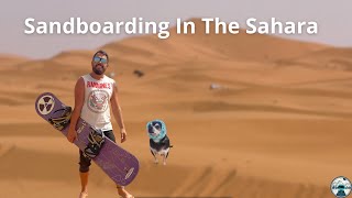 Sandboarding In The Sahara  Morocco  Vanlife Morocco [upl. by Akinej]