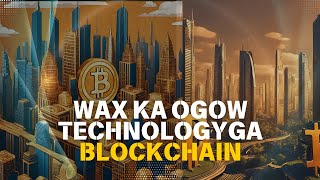 Technologyga badeli doona nidaamka adduunku shaqeeyo hada BLOCKCHAIN [upl. by Anastasie]