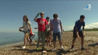 Bastia  70 collégiens mobilisés pour nettoyer la plage de l’Arinella [upl. by Aidnis466]