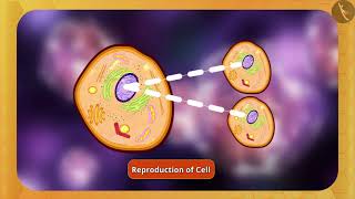 Nucleus and Cytoplasm  Part 11  English  Class 9 [upl. by Initsed]