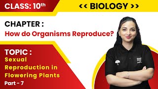 Class 10th BiologyHow Do Organisms Reproduce Part7 Sexual Reproduction in Flowering Plants Live [upl. by Iggie138]