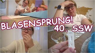 Kurz vor Geburt  Blasensprung  40 SSW  Schultüte basteln  FAMILIENVLOG [upl. by Ahsilrac]