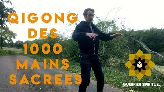 COMMENT AUGMENTER SON MAGNÉTISME GRÂCE AU QI GONG DES 1000 MAINS SACRÉES  Esprit Du Corps [upl. by Auqinot453]