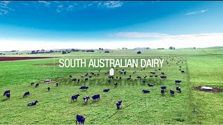 South Australian dairy 2024 [upl. by Darice97]