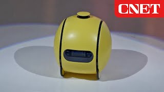 Samsung Has a Ballie AI Robot Helps Around the House [upl. by Nosniv488]