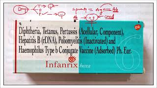 Infanrix Hexa Vaccine  Diphtheria  Tetanus toxoids  Pertussis  Hepatitis B Polio Vaccine [upl. by Anirbys]