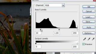 Adjust Shadow Levels in Photoshop CS3 [upl. by Terrel784]