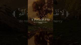 لَا تَقْنَطُوا مِن رَّحْمَةِ اللَّهِ do not despair of the mercy of Allah [upl. by Katee]