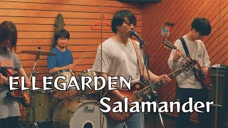 ELLEGARDEN  Salamander 밴드커버 엘르가든 살라만더 커버 [upl. by Dehnel862]