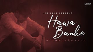 Banke Hawa  Slowed Reverb Lofi song [upl. by Azial880]