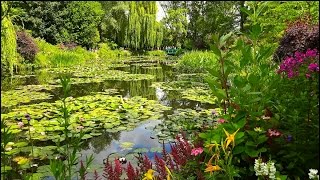 Jardins de Monet Giverny France [upl. by Ynatil]