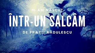 Fratii Radulescu  Mam născut întrun salcâm [upl. by Madora151]