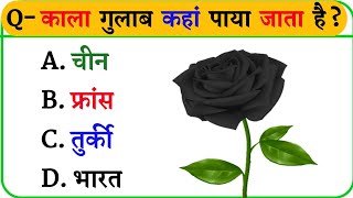 Gk in Hindi  General Knowledge  Gk Quiz  Gk Question and Answer [upl. by Lanctot]