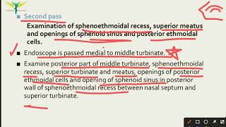 Diagnostic Nasal Endoscopy  Indications  Technique  Passes and Complications of DNE  ENT [upl. by Aeli]
