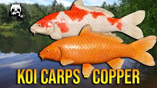 Kohaku and Orange Carps at Copper Lake  Russian Fishing 4 [upl. by Samp]