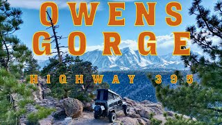 Discovering Highway 395s Hidden Treasures The Ultimate Campsite Revealed [upl. by Ynnavoeg]