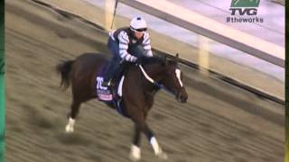 TVGs quotThe Worksquot Untapable [upl. by Kevina]