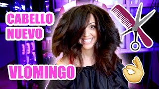 Como Pintar el Cabello con Tinte de Caja VLOMINGO  SandraCiresArt [upl. by Yenolem]