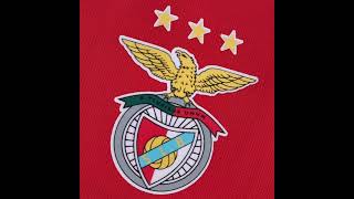 Camisola SL Benfica Equipamento Principal Para 202223 [upl. by Ammeg556]