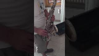 Buescher True Tone alto saxophone [upl. by Andeee]