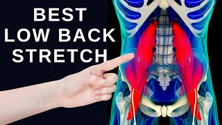 1 Best Low Back Stretch for Lower Back Pain Relief [upl. by Tuchman]