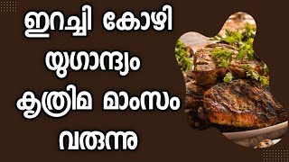 കോഴിഇറച്ചിയുഗം അവസാനിച്ചു ഇനി കൃത്രിമ മാംസം business talks [upl. by Ecydnarb]