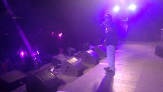 BARRINGTON LEVY quotROSIEquot LIVE  OUTLOOK FESTIVAL 2014 [upl. by Eelamme]