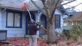 Blowing leaves off roof without getting on the roof [upl. by Odrareg]