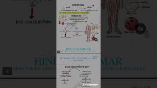 CIRCULATORY system by ACHIEVEMENT ACADEMY WITH COACHING CENTRE AGAPUR 🇮🇳🇮🇳🇮🇳 [upl. by Longwood]