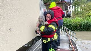 Hochwasser 2024 Klosterneuburg [upl. by Sethrida]