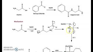 SYNTHESIS OF HIPPURIC ACID [upl. by Meade]