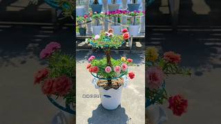 Best planting ideas plants shorts viralvideo gardening [upl. by Roselba386]