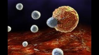 Tumor Immunology  Unraveling the Battle Between Cancer and the Immune System [upl. by Ekoorb]