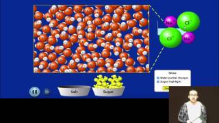 Solubility Bonding and Miscibility [upl. by Selig]