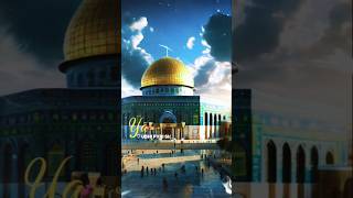 Kas main yaar Palestine ka wasi hota shorts viralvideo 🕊️🇵🇸👑♥️🇵🇸 [upl. by Eliott]