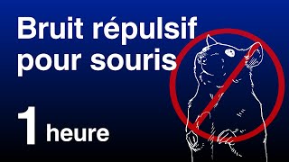 Bruit Répulsif pour Souris et Rats  Son Ultrasonore Inaudible Non compatible avec iPhone [upl. by Averil]