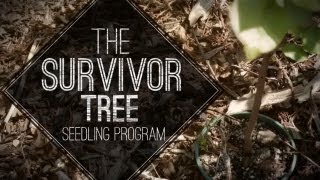 The Survivor Tree Seedling Program [upl. by Dnomaid]