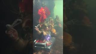 Ganpati Visarjan ganpatibappamorya ganpativisarjan ganpati viralvideo shortvideorartstudio [upl. by Dnomra879]