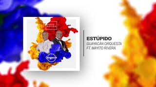 Guayacán Orquesta Ft Mayito Rivera  Estúpido  Audio Oficial [upl. by Catie290]