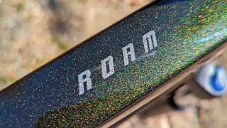 Have you ever wished that with one Bike you could do it all  2022 Giant Roam 3 Review [upl. by Nirred415]