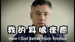 耳鳴的聲音完全消失了 耳鳴康復的治癒經驗談 How I Got Better From Tinnitus [upl. by Atnwahsal]