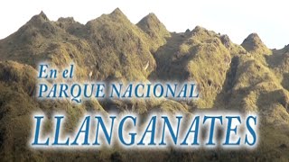 Parque Nacional Llanganates  El Valle de los Frailejones [upl. by Nagek590]