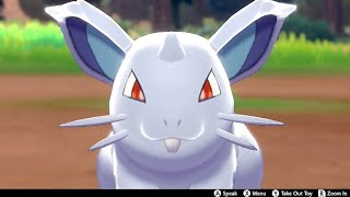 Nidoran Female Nidoran♀ In Camp  Pokemon Sword amp Shield [upl. by Gaillard78]